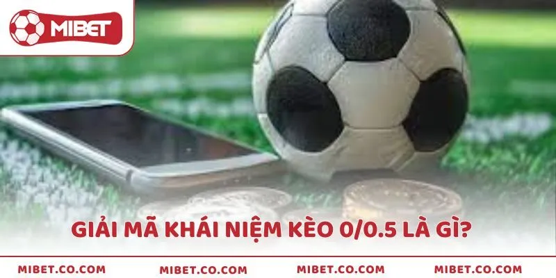 Giải mã chi tiết về định nghĩa kèo 0/0.5 là gì?