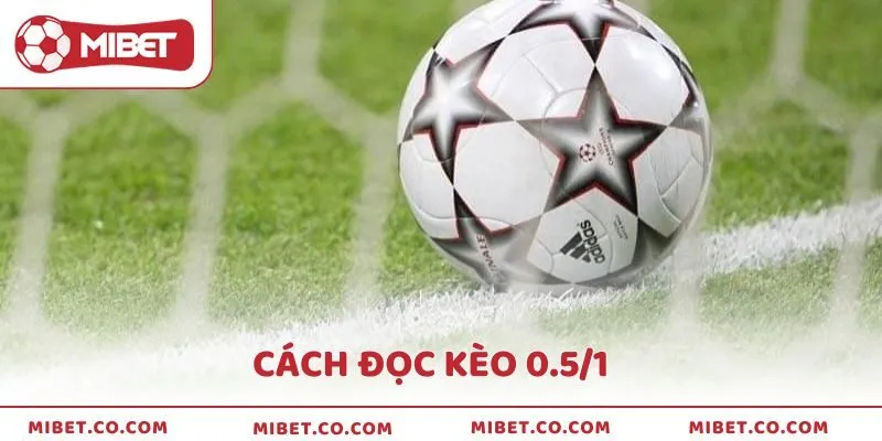 Hướng dẫn cách đọc kèo 0.5/1 chi tiết cho người mới