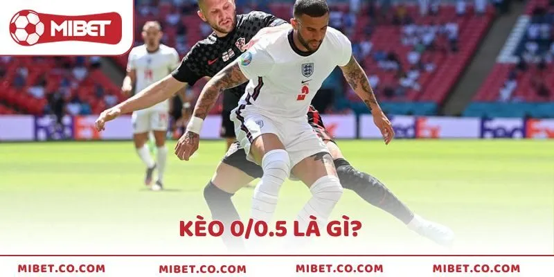 Kèo 0/0.5 Là Gì? Chơi Kèo Đồng Banh Nửa Trái Chuẩn Từ Mibet