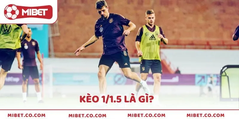 Cách đọc kèo 1/1.5 là gì để chơi dễ thắng cho người mới