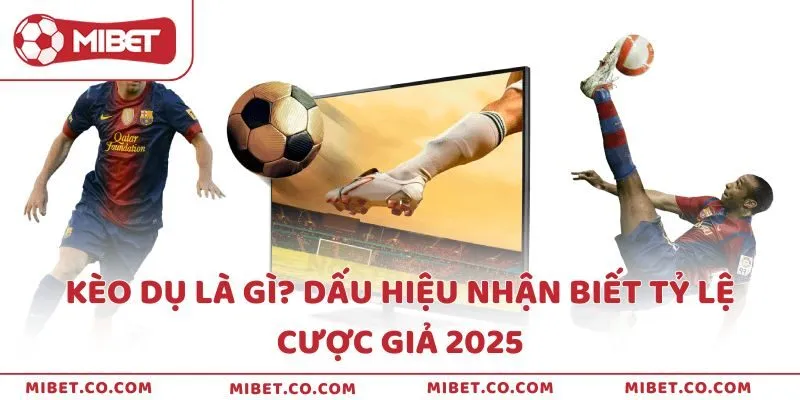 Kèo dụ là gì? Dấu hiệu nhận biết tỷ lệ cược giả 2025