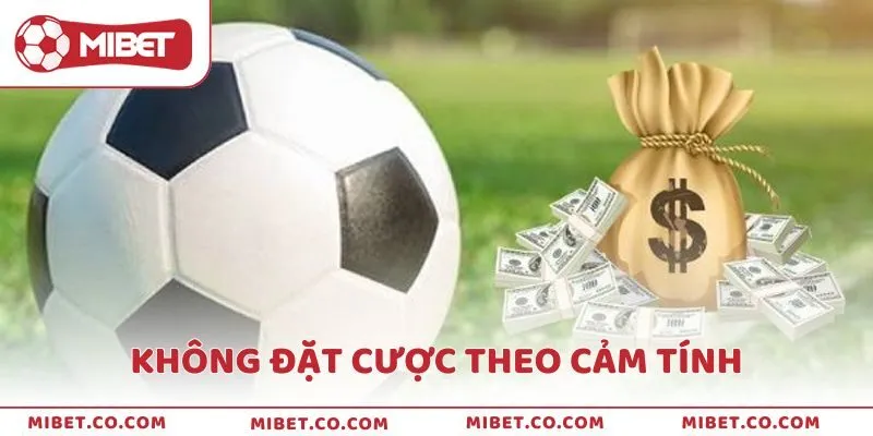 Không đặt cược theo cảm tính