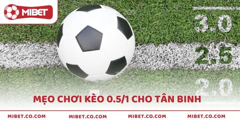 Mẹo chơi kèo 0.5/1 hiệu quả cho người mới