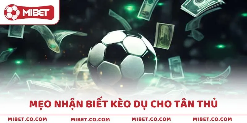 Mẹo nhận biết kèo dụ cho tân thủ