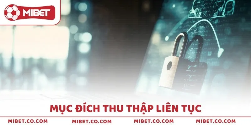 Dữ liệu có thể thu thập từ bạn
