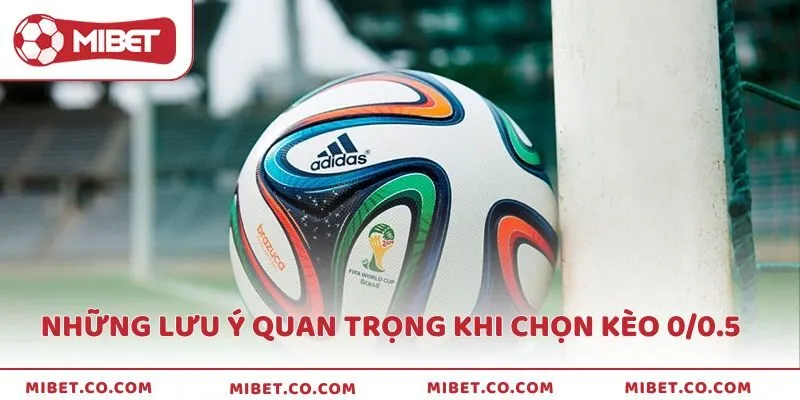 Những lưu ý quan trọng khi chơi kèo 0/0.5 là gì?
