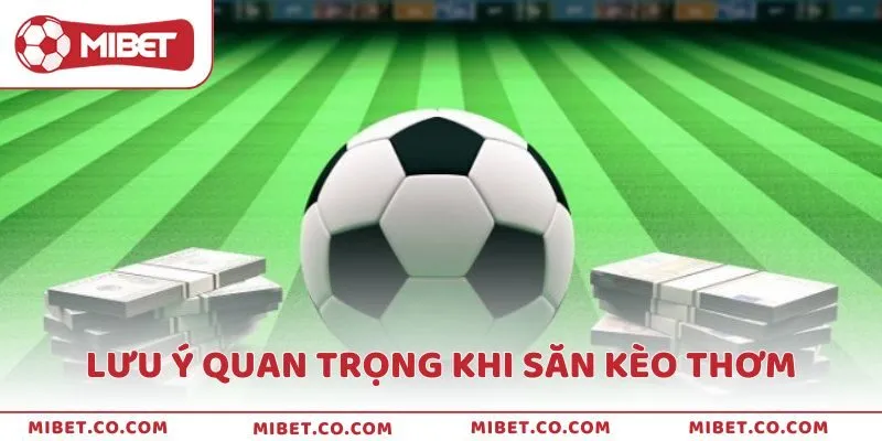 Những lưu ý quan trọng khi săn kèo thơm