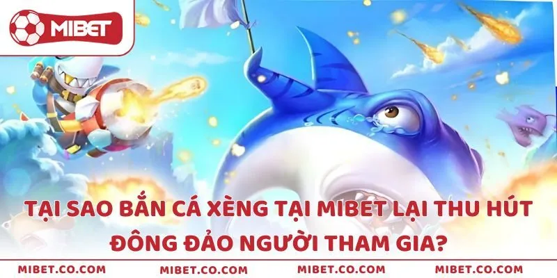 Những lý do khiến trò chơi thu hút được đông đảo người tham gia
