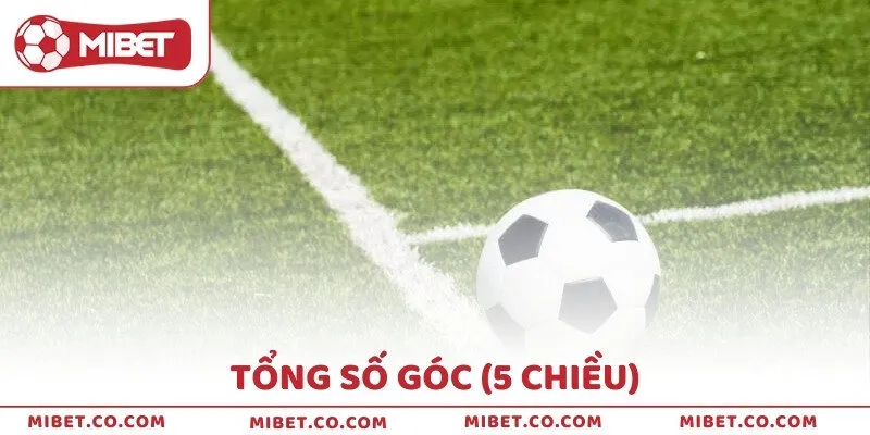 Tổng số góc (5 chiều)