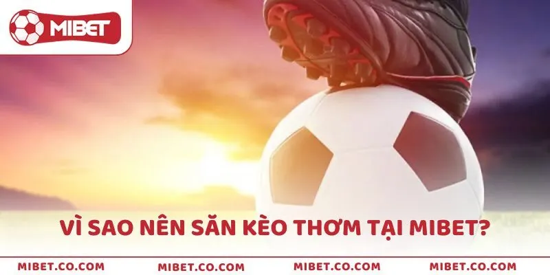 Vì sao nên săn kèo thơm tại Mibet?